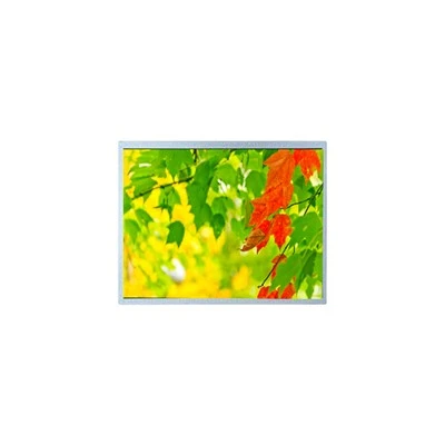 G141i 1- l 01 14. 1 colio LCD ekranas pramoniniam ekranui