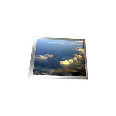 P1010WSN1ME00 10.1 colių TFT-LCD pramoninis ekranas